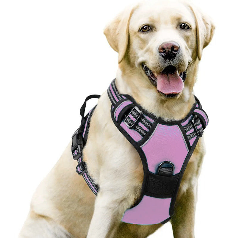 Treuepfote Geschirr™ Das Gesündeste Hundegschirr