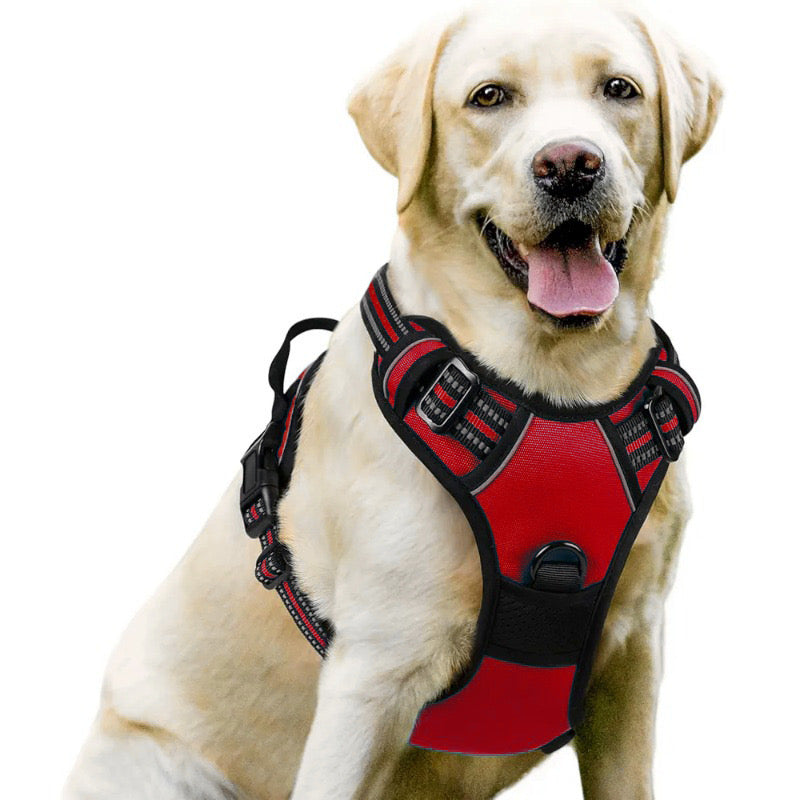 Treuepfote Geschirr™ Das Gesündeste Hundegschirr